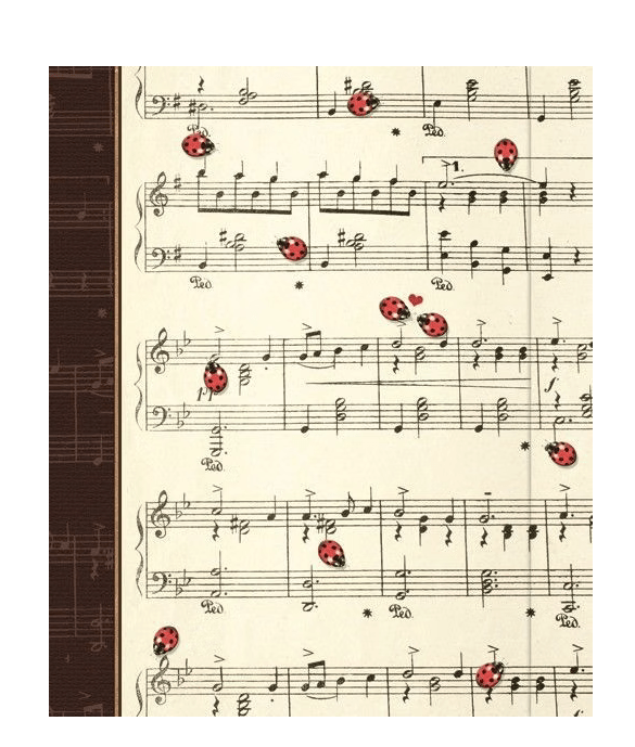 Large Journal - Serenade