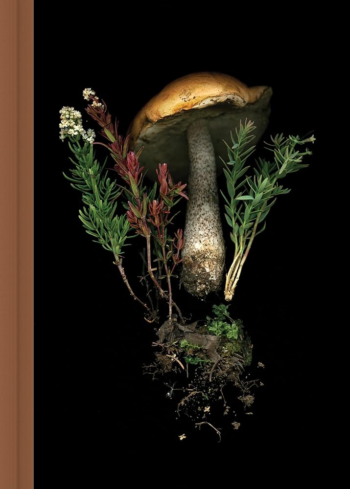 Journal Deep Dark Forest Mushroom