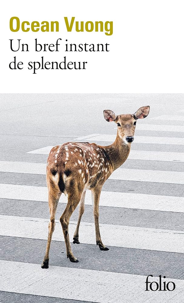 Un bref instant de splendeur par Ocean Vuong