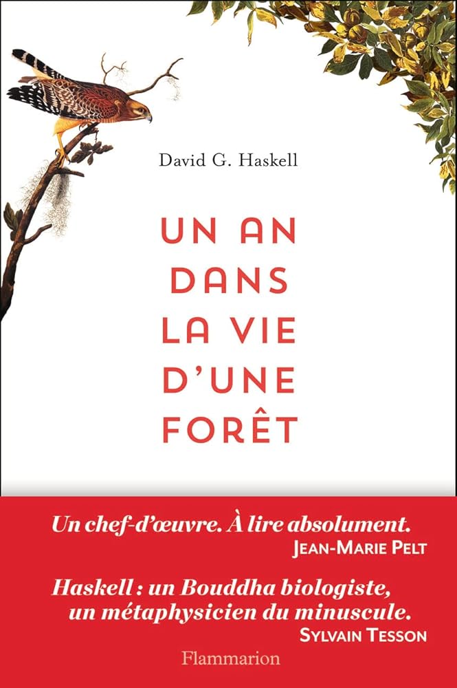 Un an dans la vie d'une forêt David G. Haskell