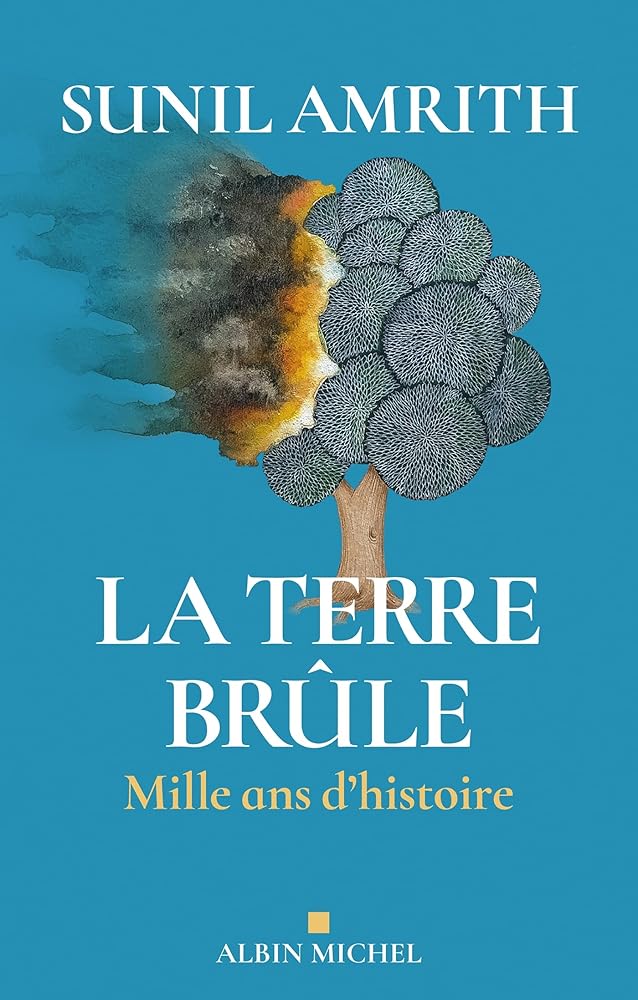 La Terre brûle: Mille ans d'histoire par Sunil Amrith