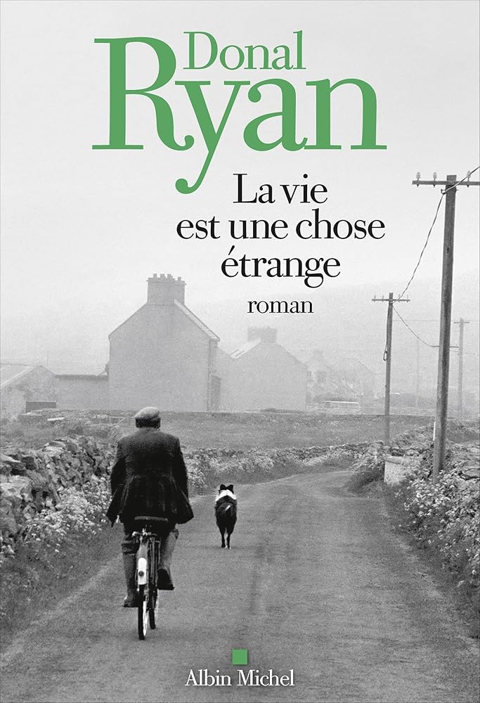 La Vie est une chose étrange par Donal Ryan