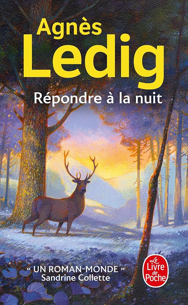 Répondre à la nuit par Agnès Ledig
