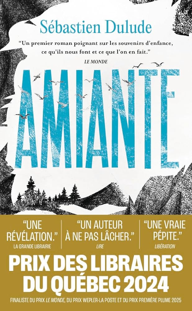 Amiante par Sébastien Dulude