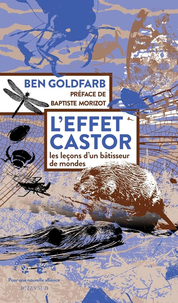 L'effet castor : les leçons d'un bâtisseur de mondes par Ben Goldfarb