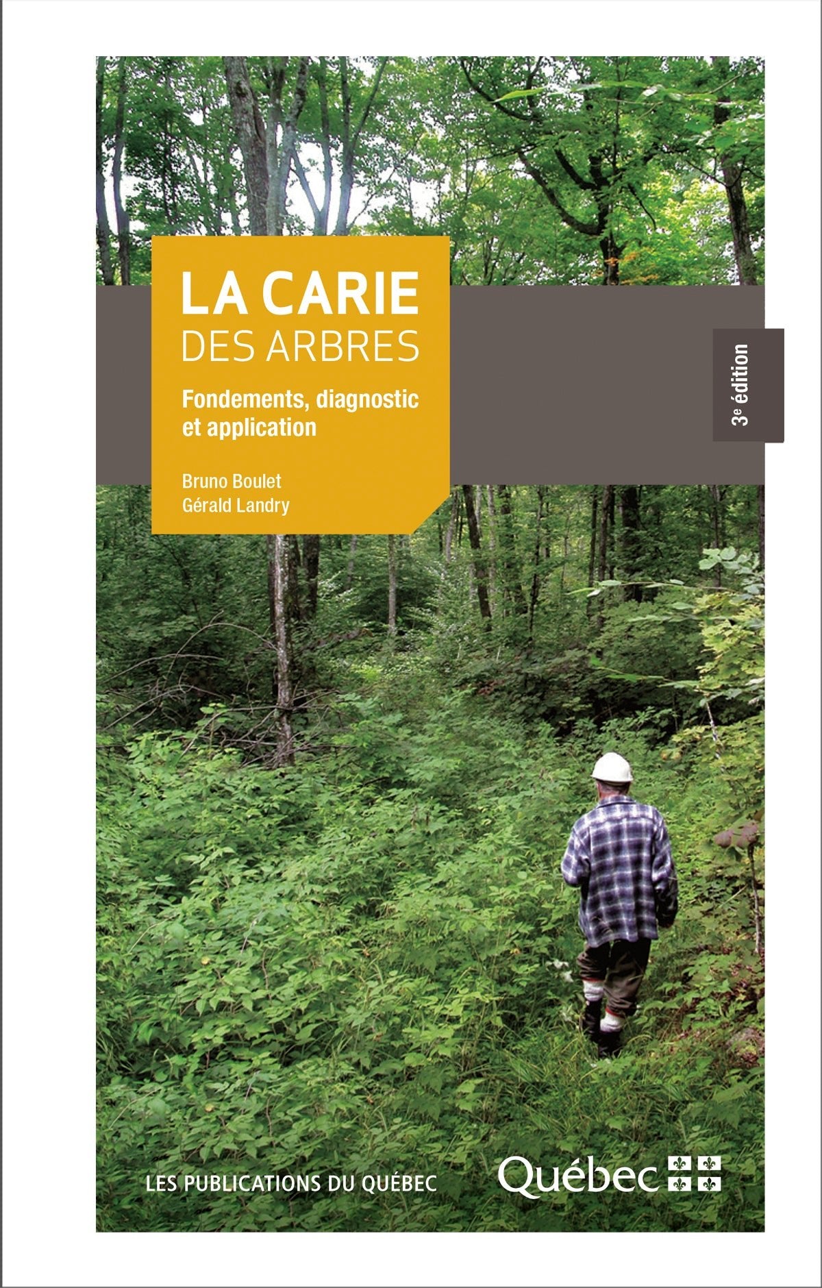La carie des arbres par Bruno Boulet