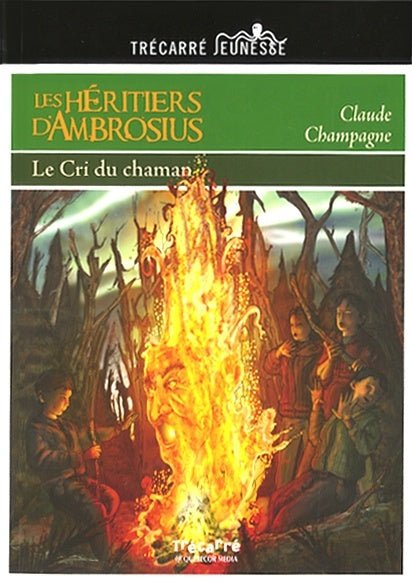 Les héritiers d'Ambrosius, tomes 1 à 4