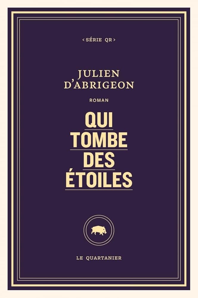 Qui tombe des étoiles par Julien D'Abrigeon
