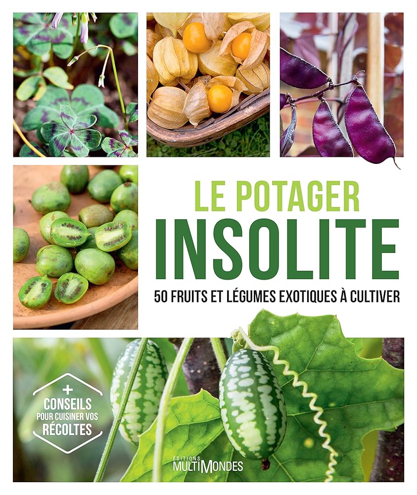Le potager insolite : 50 fruits et légumes exotiques à cultiver par Matthew Biggs