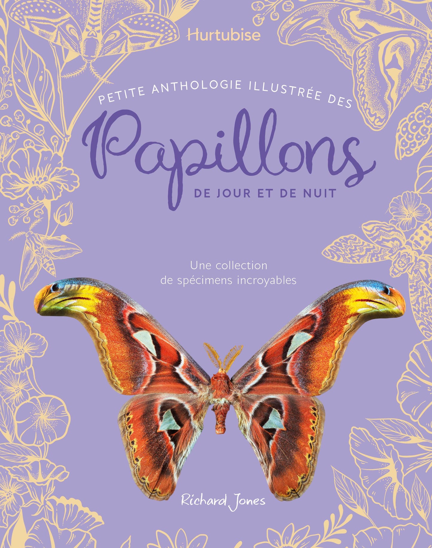 Petite anthologie illustrée des papillons de jour et de nuit : Une collection de spécimens incroyables par Richard Jones