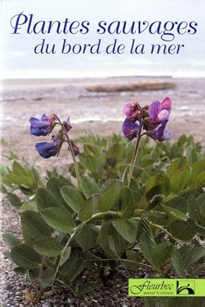 Plantes sauvages du bord de la mer par Groupe Fleurbec