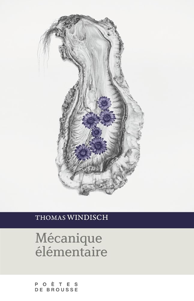 Mécanique élémentaire par Thomas Windisch