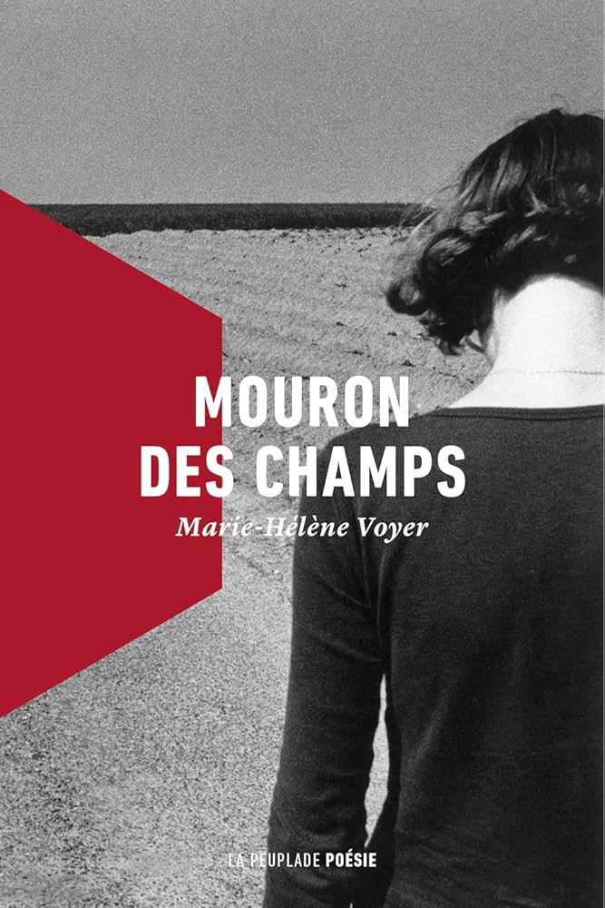 Mouron des champs par Marie-Hélène Voyer