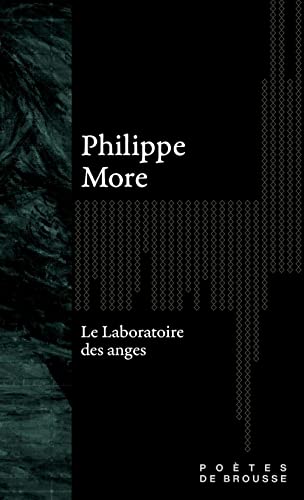 Le Laboratoire des anges Philippe More