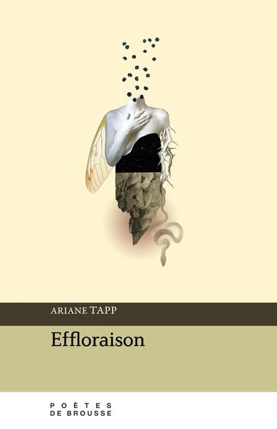 Effloraison par Ariane Tapp