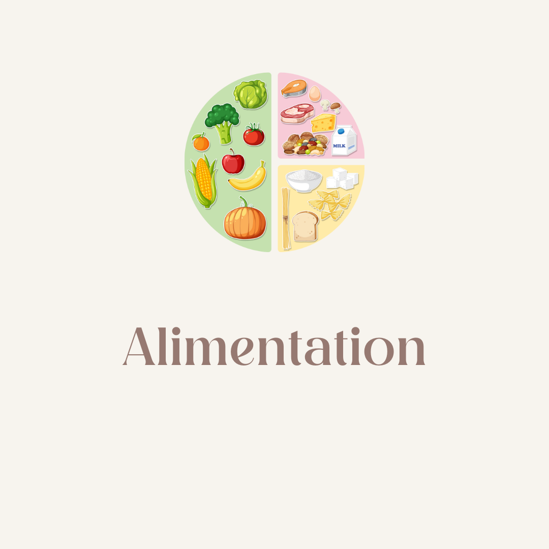 Alimentation