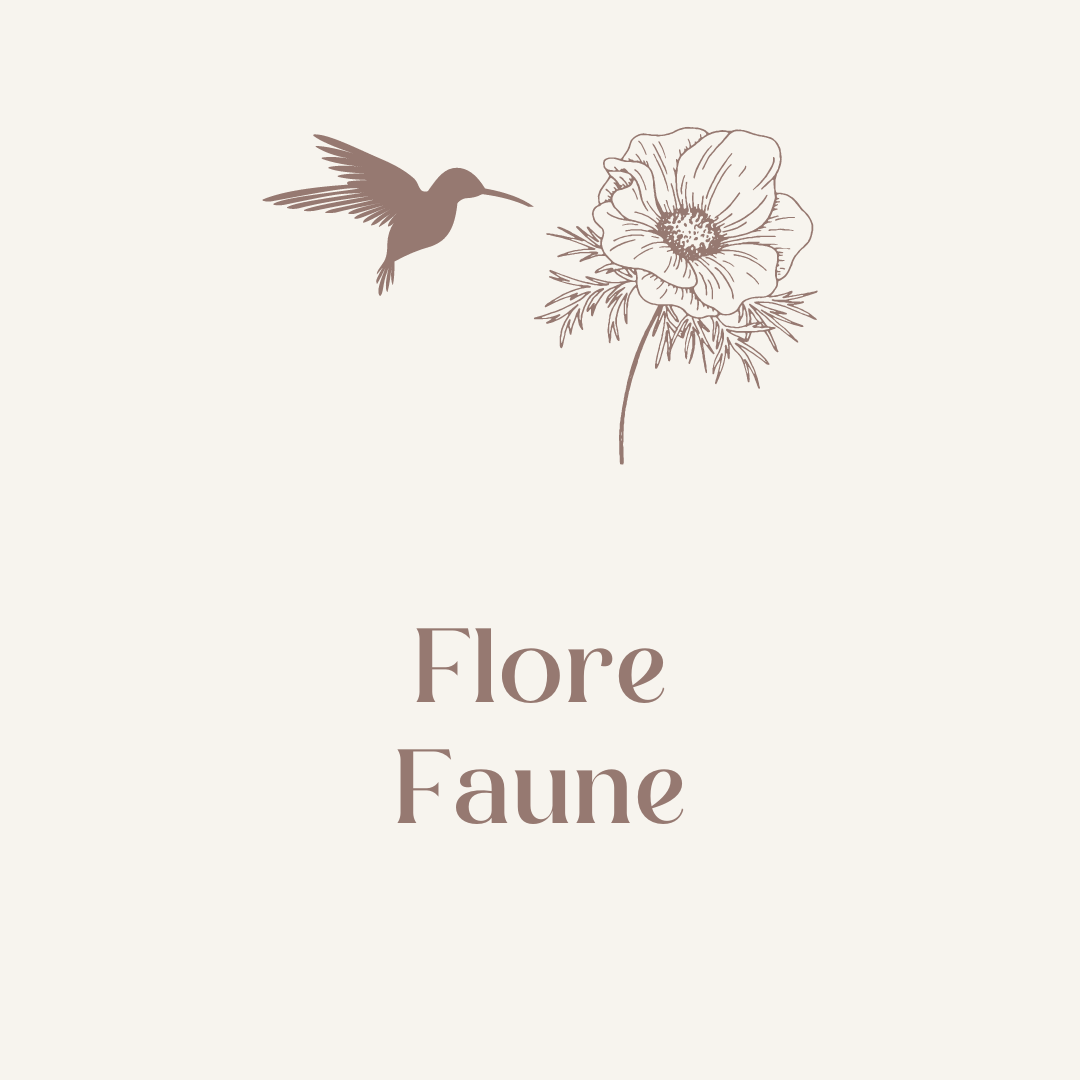 Flore et faune