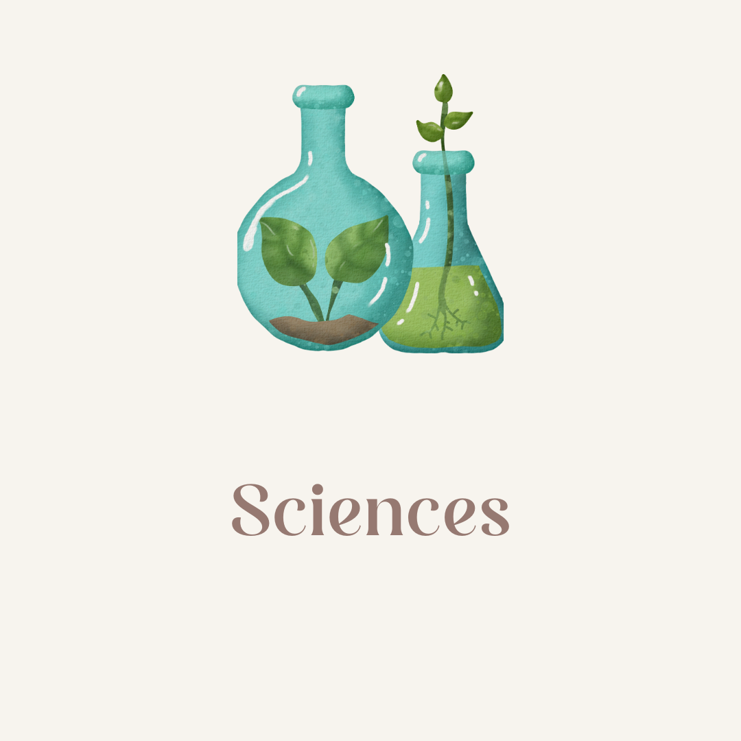 Sciences | Techologies | Sciences de la terre | Mathématiques