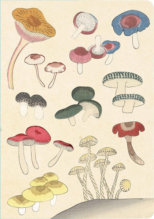 Carnet ligné avec pochette Healing Mushrooms