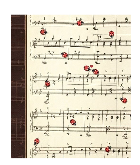 Large Journal - Serenade
