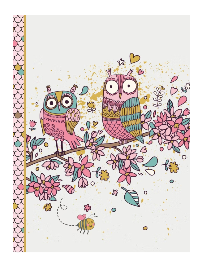 Cahier rigide deux hiboux