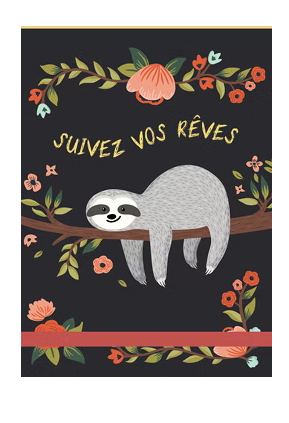 Carnet de notes de poche Suivez vos rêves