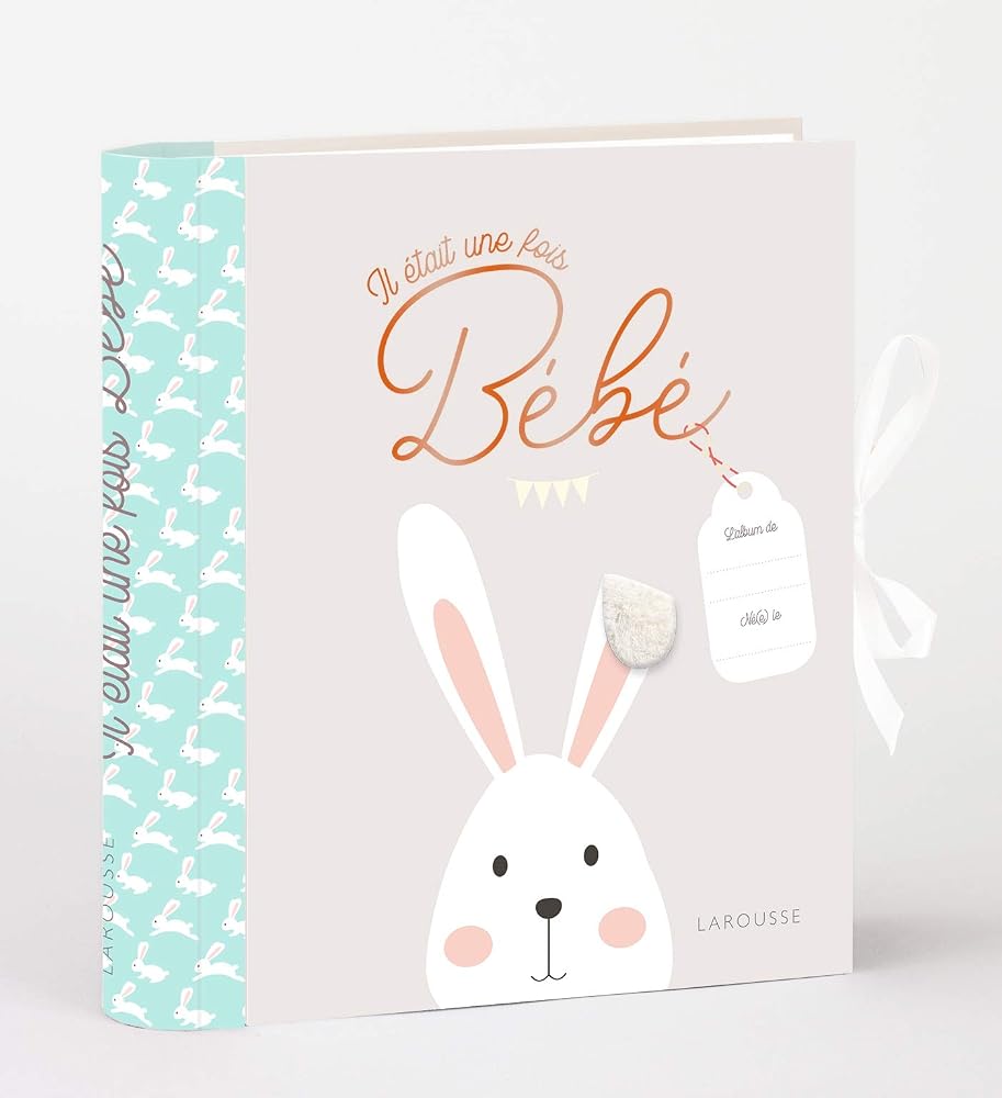 Il était une fois bébé par Larousse