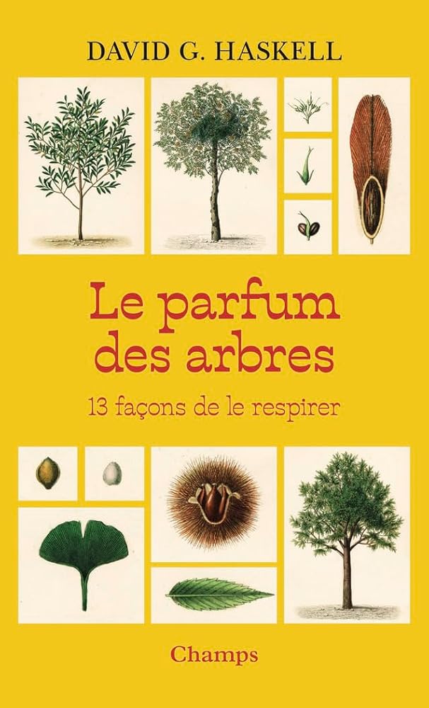 Le parfum des arbres : 13 façons de le respirer par David George Haskell
