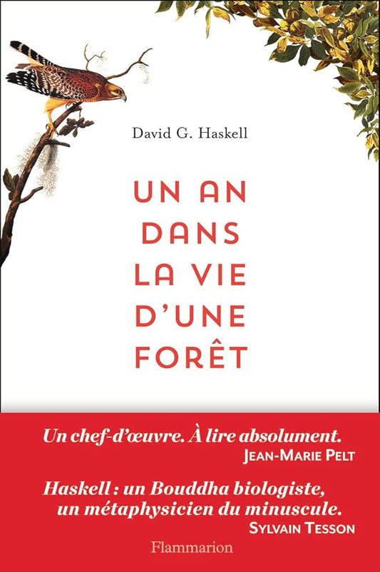 Un an dans la vie d'une forêt David G. Haskell