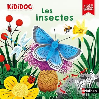 Les insectes par Muriel Zürcher, Stéphane Hurtrez