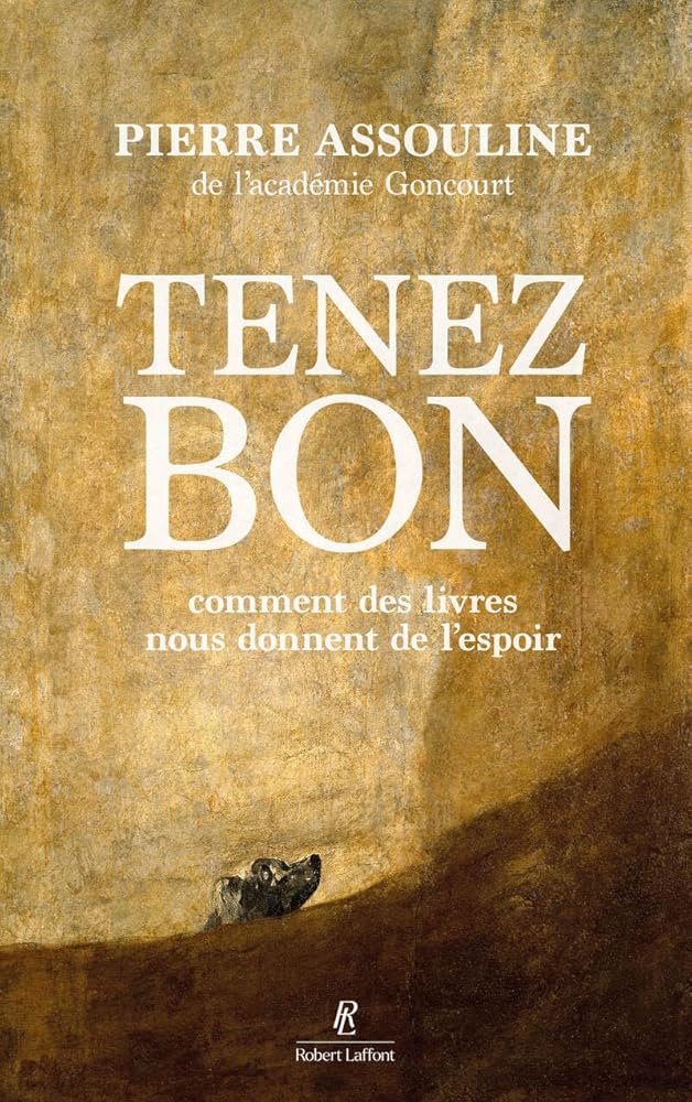 Tenez bon : comment des livres nous donnent de l'espoir par Pierre Assouline