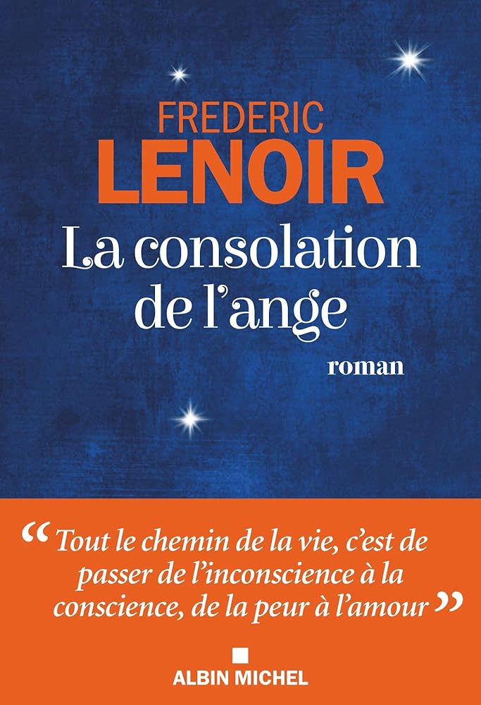 La consolation de l'ange livre