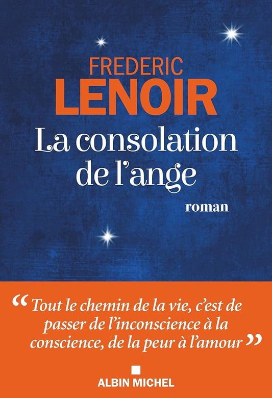 La consolation de l'ange livre