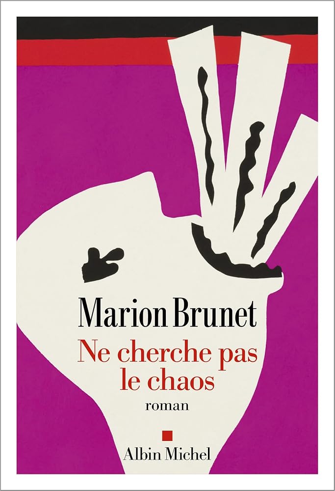 Ne cherche pas le chaos par Marion Brunet