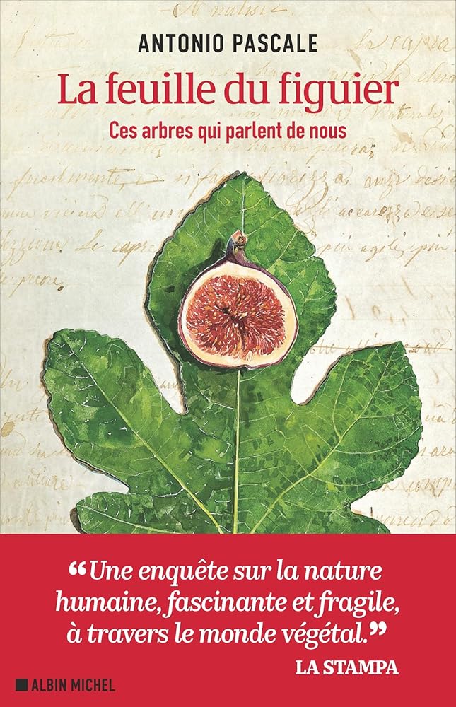 La Feuille du figuier: Ces arbres qui parlent de nous par Antonio Pascale