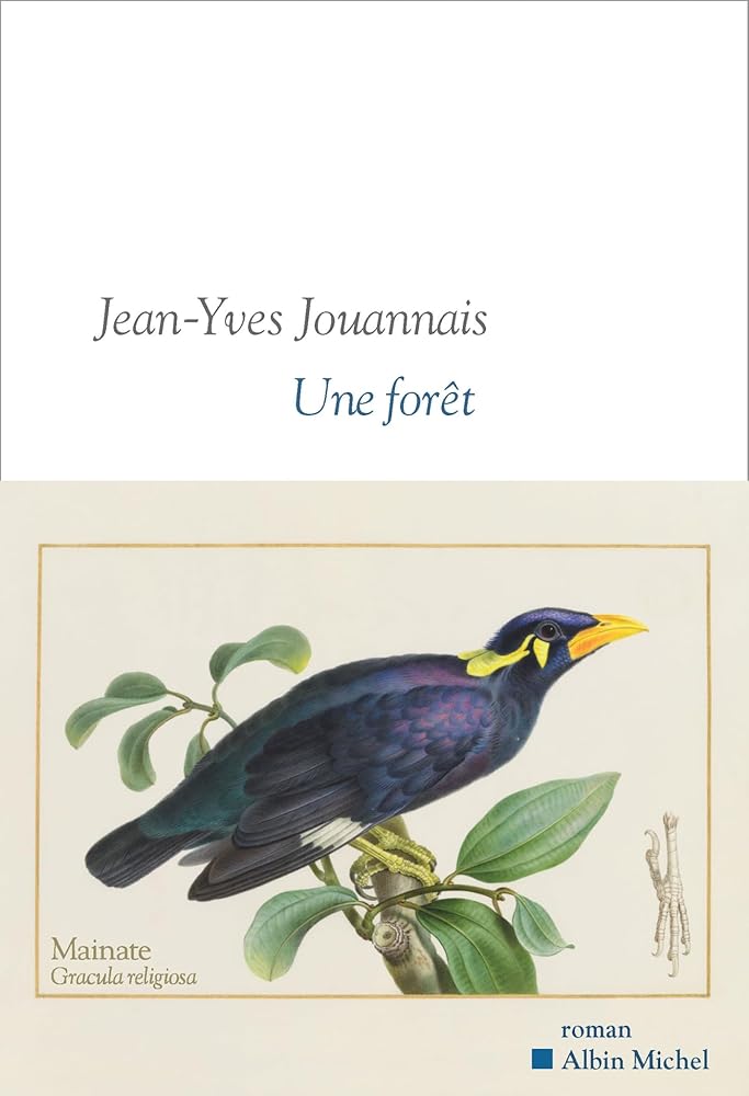 Une forêt par Jean-Yves Jouannais