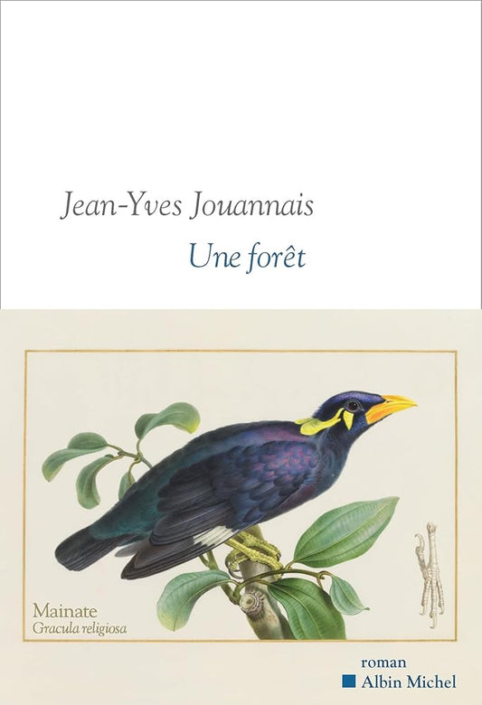 Une forêt par Jean-Yves Jouannais