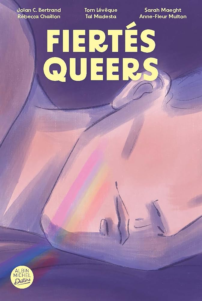 Fiertés queers : recueil de nouvelles par Albin Michel-Jeunesse