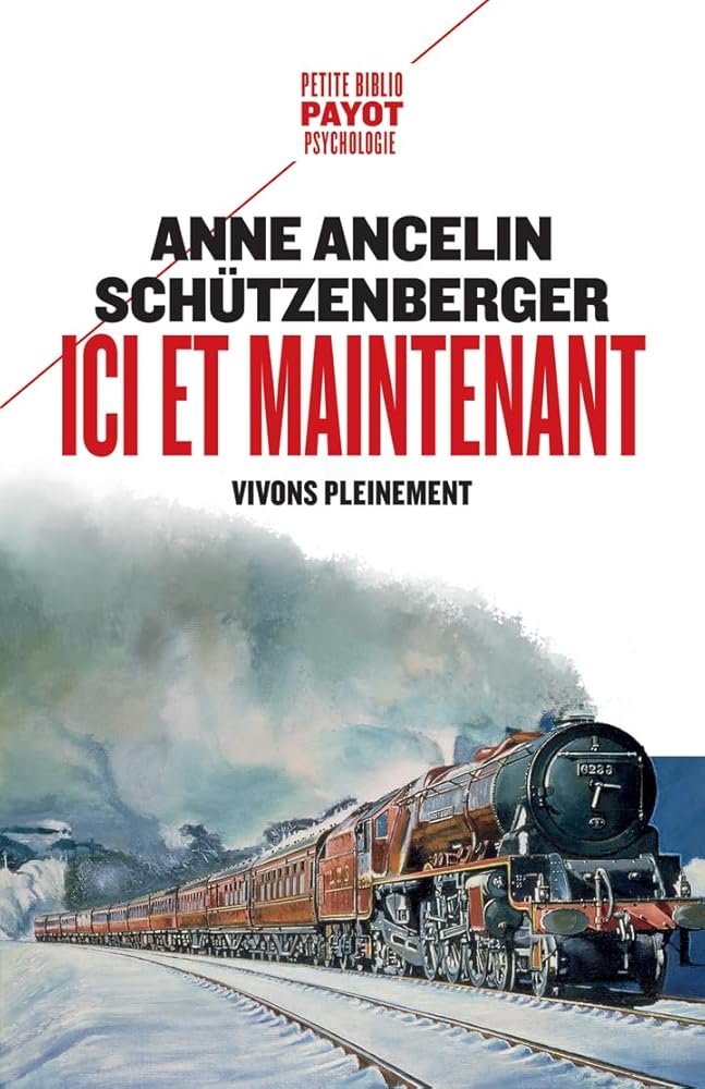 Ici et maintenant: Vivons pleinement Anne Ancelin Schützenberger