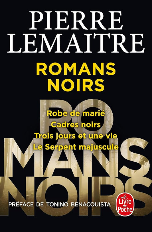 Romans noirs par Pierre Lemaitre
