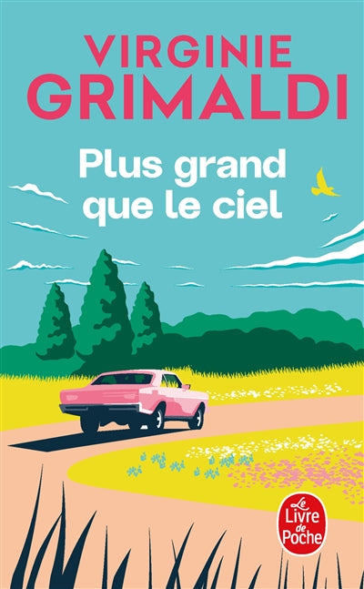 Plus grand que le ciel par Virginie Grimaldi