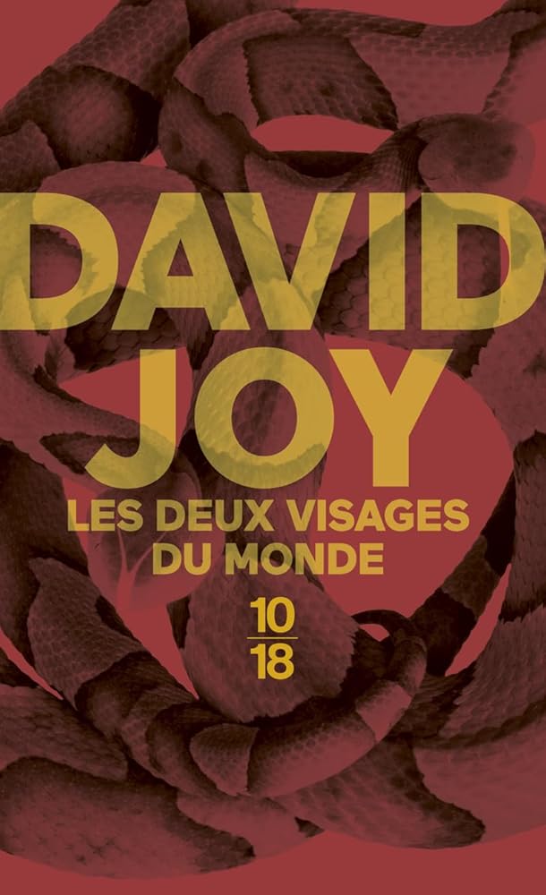 Les deux visages du monde par David Joy