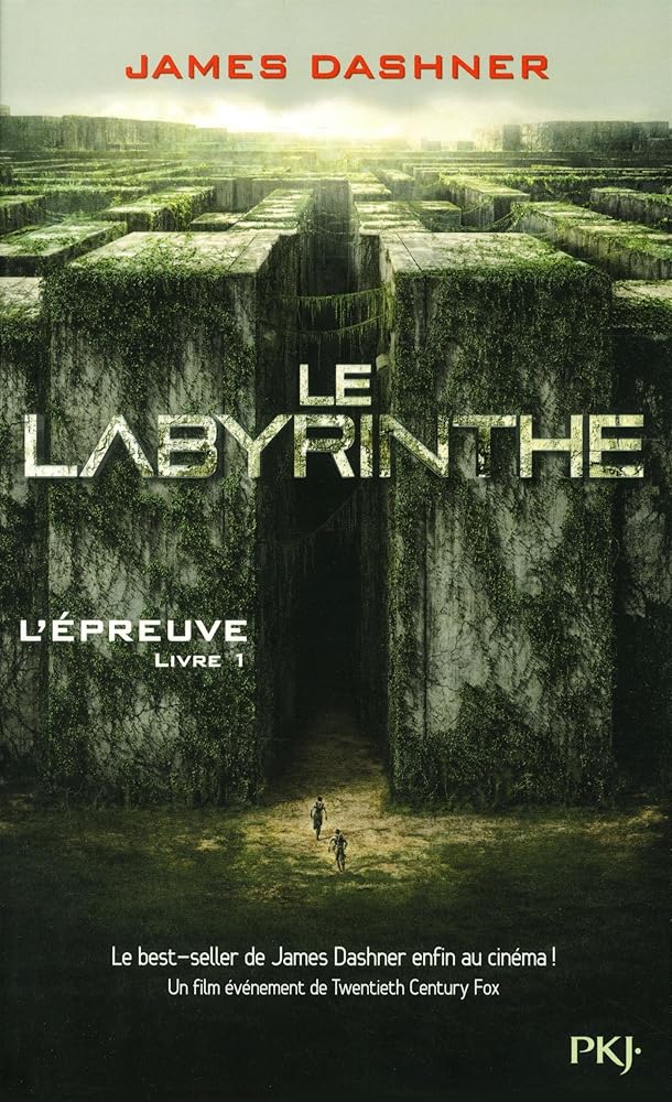 L'épreuve, livre 1 : Le labyrinthe livre James Dashner