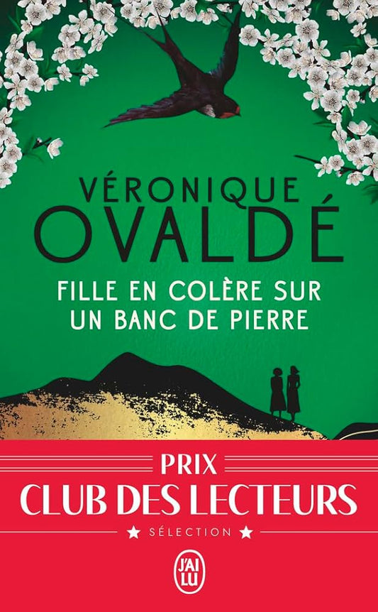 Fille en colère sur un banc de pierre par Véronique Ovaldé