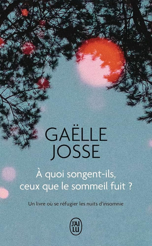A quoi songent-ils, ceux que le sommeil fuit ? : un livre où se réfugier les nuits d'insomnie : microfictions par Gaëlle Josse