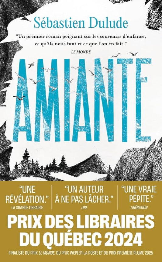 Amiante par Sébastien Dulude