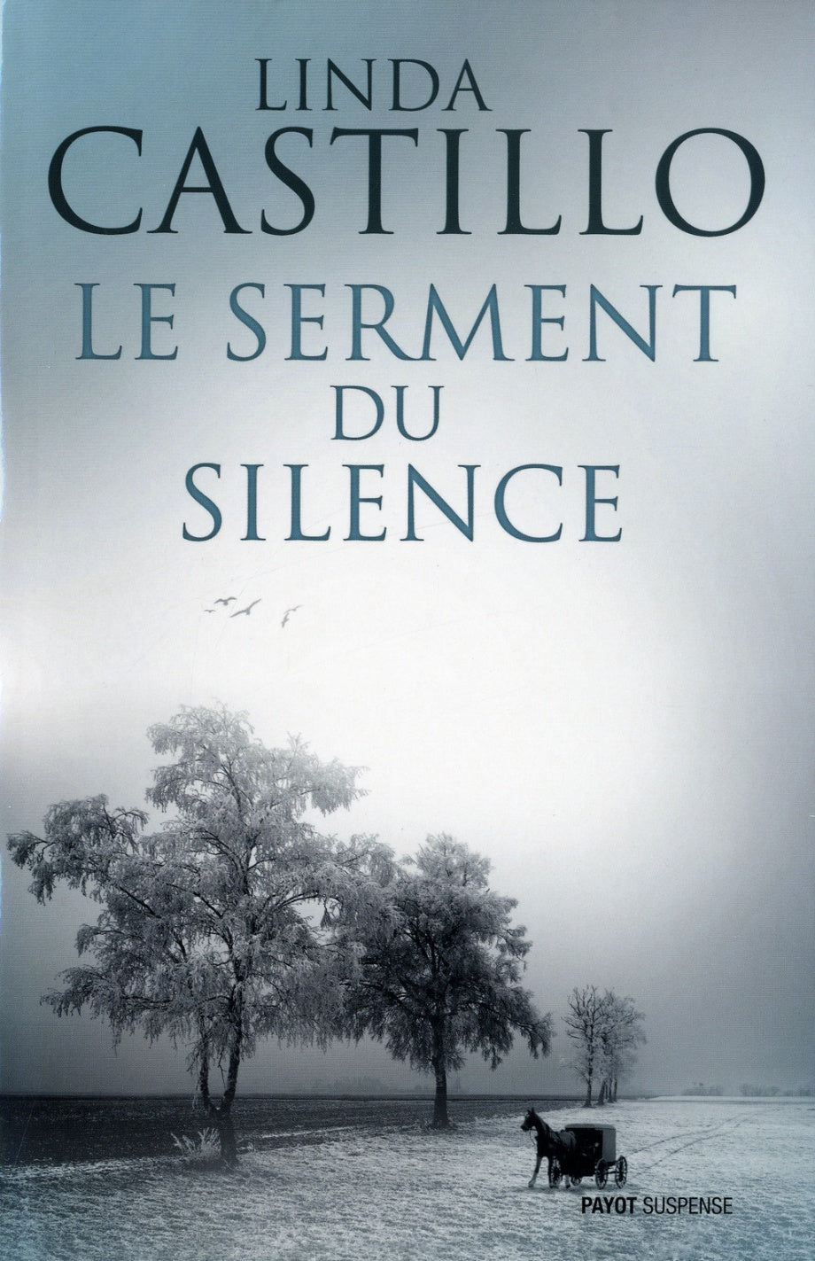 Le serment du silence