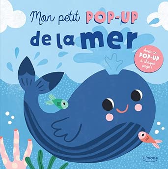 Mon petit pop-up de la mer par Shaheen Bilgrami
