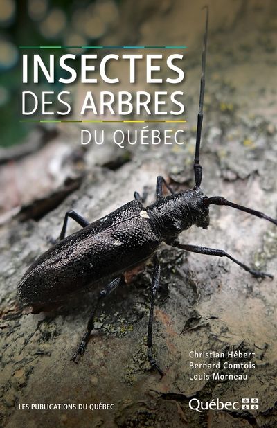 Insectes des arbres du Québec par Christian Hébert, Bernard Comtois, Louis Morneau