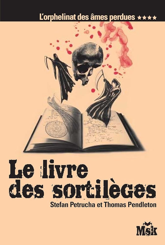 L'orphelinat des âmes perdues, tome 4 : Le livre des sortilèges par Stefan Petrucha et Thomas Pendleton